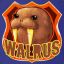 Walrus42