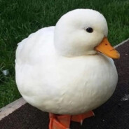 ❤ patito