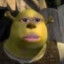 ShreksGrandson