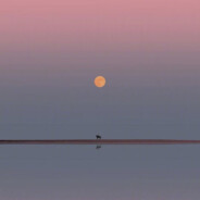 云边上的小卖部