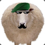 Sly Sheep