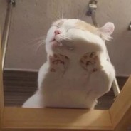 灾难始终慢我一步