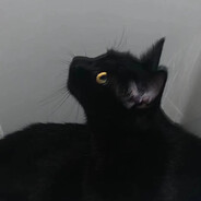 那你说对不对啊