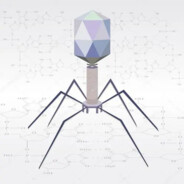 bacteriophage0914