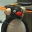 Pingude