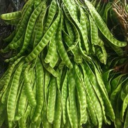 kenapatemankubegini?