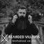 Bearded-Gonzo