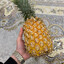 Ananazzz