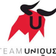 Team Unique. FROSTIK_VDK avatar
