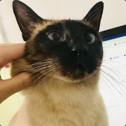 小熊饼干（蓝莓味