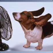 CZ = F!r3 P}{e3N!Xx - Add my new