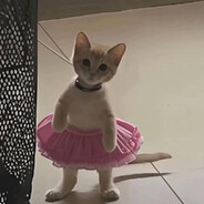 NOJ1K за халявой влс