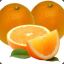 ORANGEN.MUSHI eat it