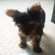 mmxzen - steam id 76561197970963613