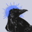 A Cackling Corvid