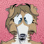 canis lupus familiaris