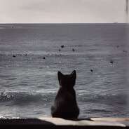 warior - steam id 76561199471342951