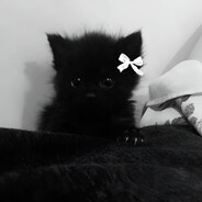 aimstaroo