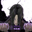 Krauser