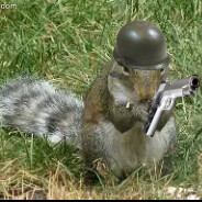 TheArmedSquirrel