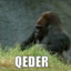 QEDER