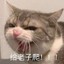 月亮像个大橘子