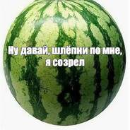 Арбуз