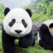 提笔控萝莉床上定人妻