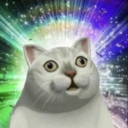 她的比赛不进去