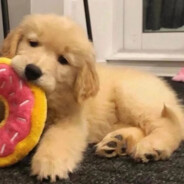 我也不太了解她