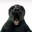 Barry Seal
