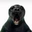 Barry Seal