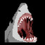 Sharkai