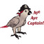 aj aj kapitan