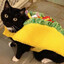 TacoCat