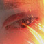 Everglance