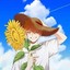 浮生—Sunflower