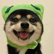 我都不知道你在干什么