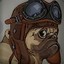 TimTheFlyingPug