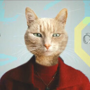 塔希里亚守护者