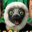 Zoboomafoo