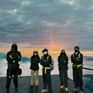 性感绝育公螳螂