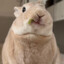 Fnordy