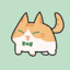 面鸽