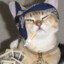 gangsta cat