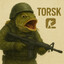 TORSK PHYSX