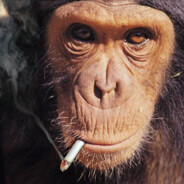 Fa$toM**==x¥i - steam id 76561199083372953