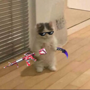 Kaika - steam id 76561199529611484