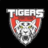 viettigeresportteam6