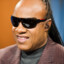 Stevie wonder